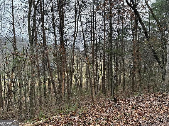 3rd image of 29 Ideal Acres Rd