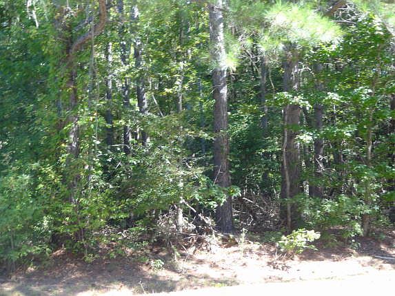 Nearly three-fifths acre