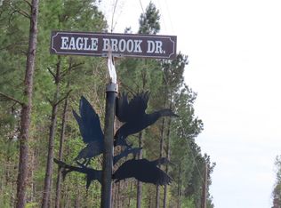 0 Eagles Way, Lewisville, AR 71845