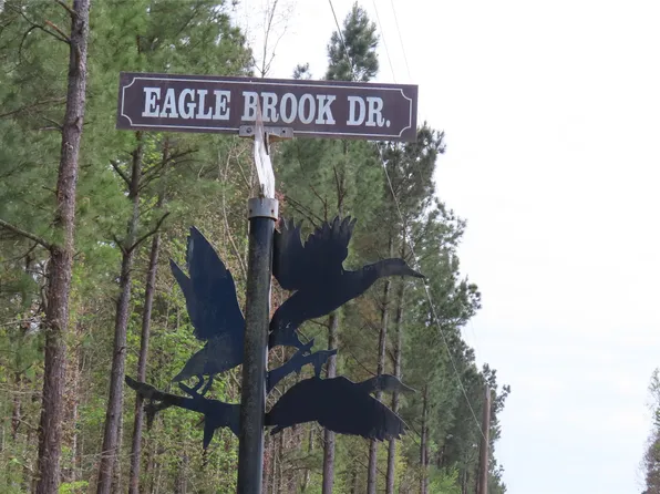 0 Eagles Way, Lewisville, AR 71845