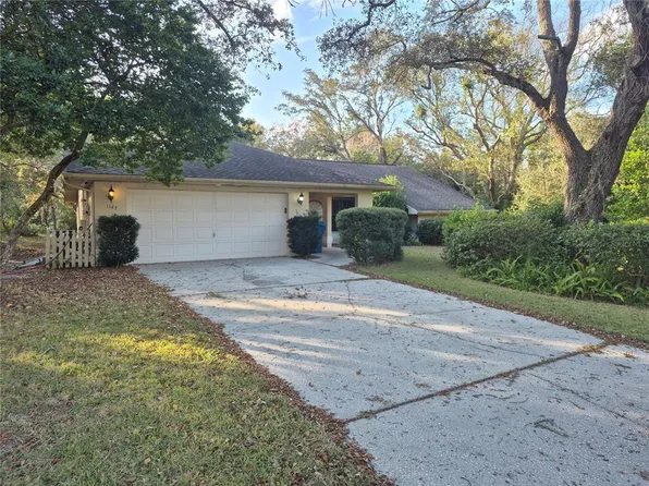 1147 Barranca Ave, Spring Hill, FL 34609