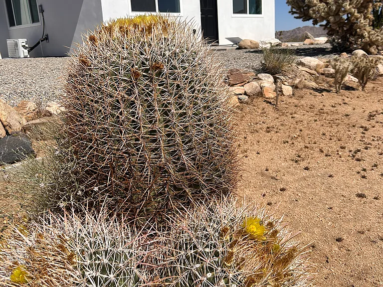 Star Ln — Photo 11