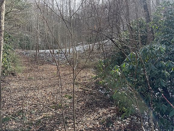 5th image of 38 Brush Creek Rd