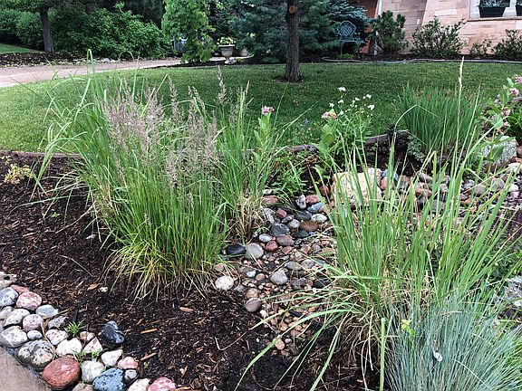 Master gardener touches