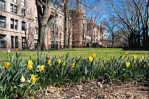 Rented by Voro NYC | media 8