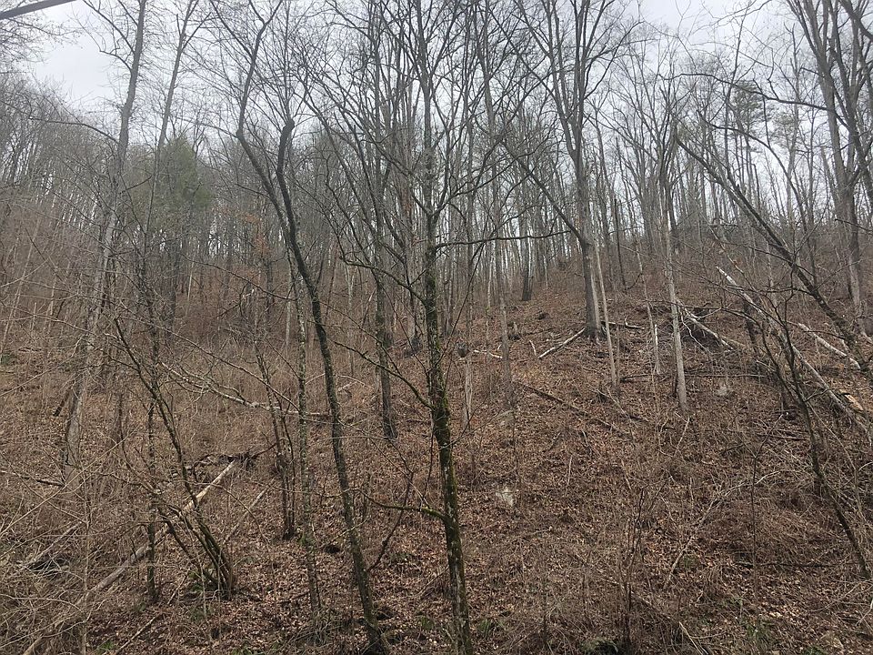 2nd image of Cove Mtn Rd