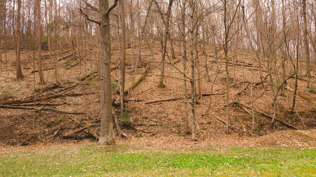 Real estate listing image