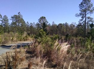 10967 S Us Highway 301, Jesup, GA 31546