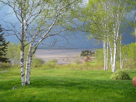 Spring storm approaching
						:
						Looking upriver, spring storm approaching
