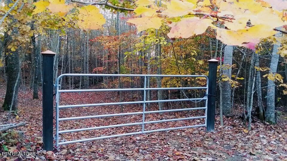 2nd image of Red Creek Hollow Rd