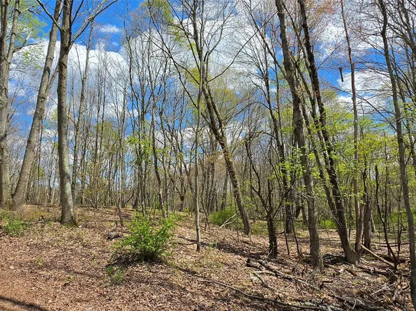 Lot 17.14 Skipperene Road, Cochecton, NY 12726