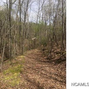 0 Bear Creek Rd, Haleyville, AL, 35565