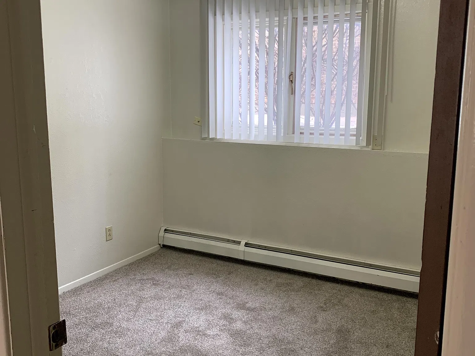 1101 Downey Street — Photo 3