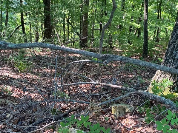 0 Lakeview Dr Lot 58-59, Smithville, TN 37166