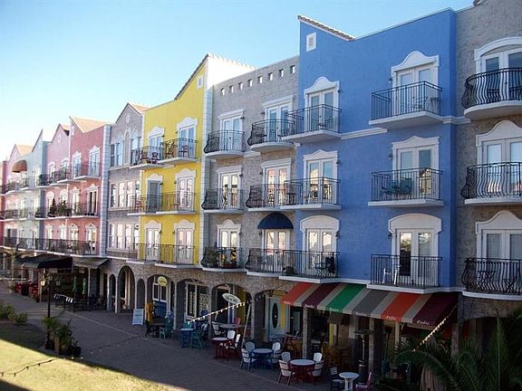 5th image of 101 Palm Harbor Pkwy #317B