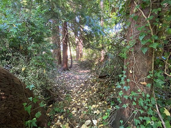 3rd image of 121 E Shoreline Lane