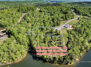 380 River Run Trl, Spring City, TN 37381