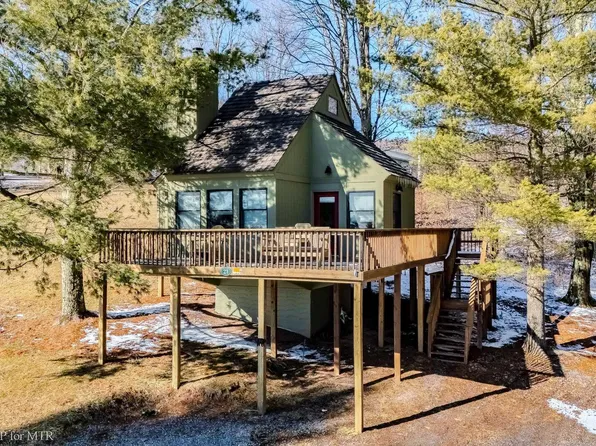 21 Honey Pot Ln, Davis, WV 26260