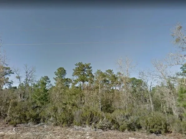 107 Grey St, Interlachen, FL 32148