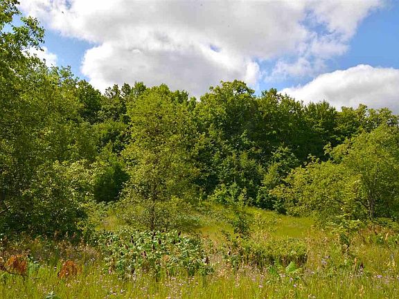 4th image of 11085 Trail 33 Ln
