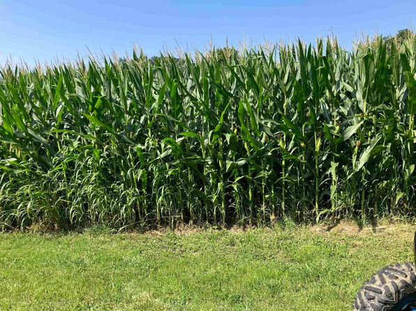 Carter Rd, Lanark, IL 61046