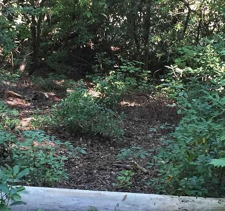 2nd image of 631 Pine Harbor Way