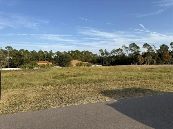 14950 Mim Pl Lot 1, Dade City, FL 33525