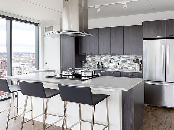 Chef's kitchen with dark cabinetry and stainless steel appliances