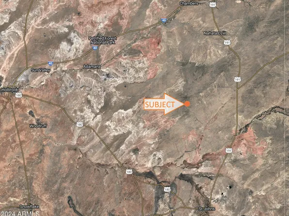 229 COUNTY ROAD N7479 -- #-, St Johns, AZ 85936