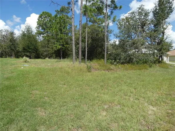 SW 196th Avenue Rd Lot 3, Dunnellon, FL 34432