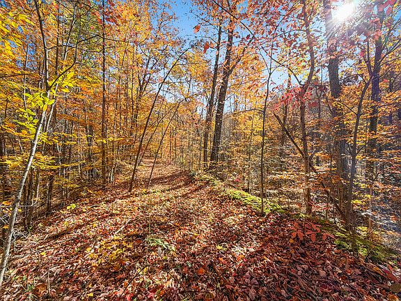 42nd image of this home