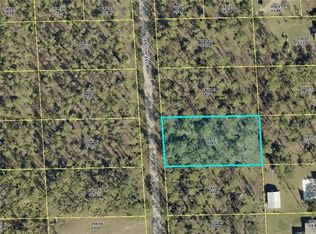 2116 Canton Ave, Alva, FL 33920