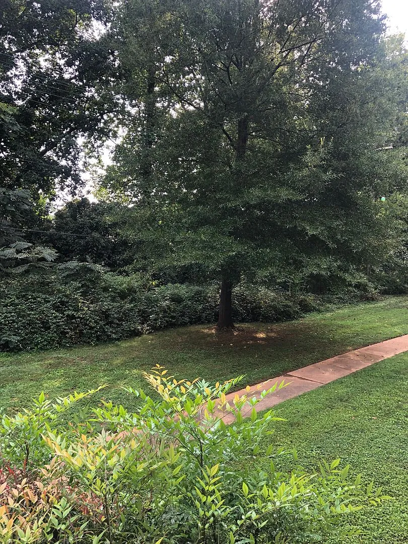 Greenville 2BD/1BA, 896SF — Photo 1