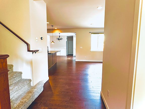 Level 1 - floor plan view