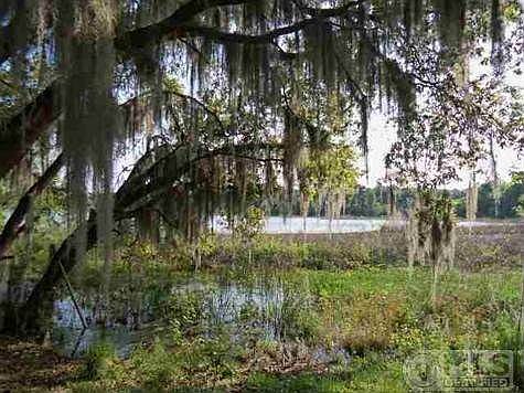 As seen from the back yard