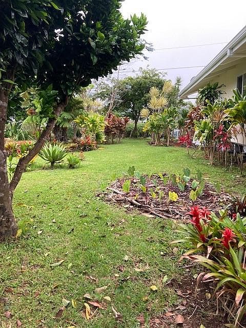 2nd image of 64 Uikeoni St