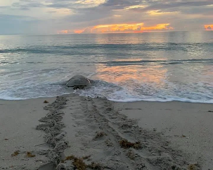 6710 S Highway A1A — Photo 43