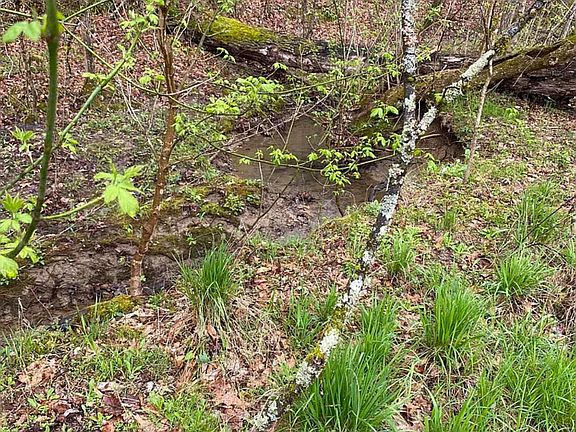 4th image of LOT TR3 Gists Creek Rd