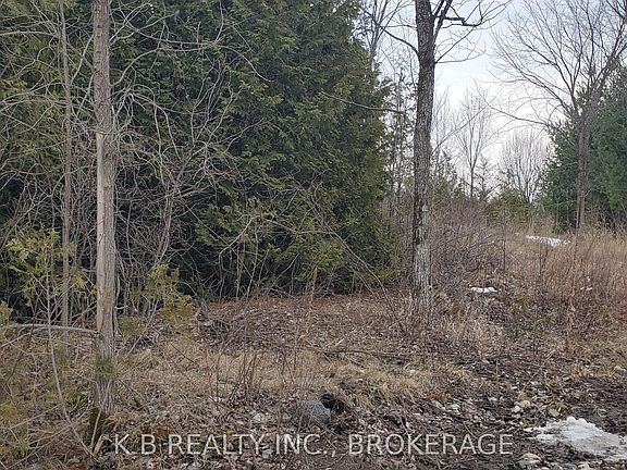 4th image of 0 Adair Rd