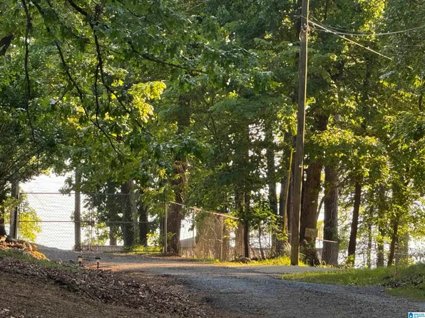 0 Davis Acres Dr #72 & 73, Alpine, AL 35014