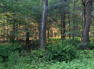 0 Hirshorn Dr, Newfoundland, PA 18445