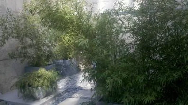 Rented by Corcoran | media 22