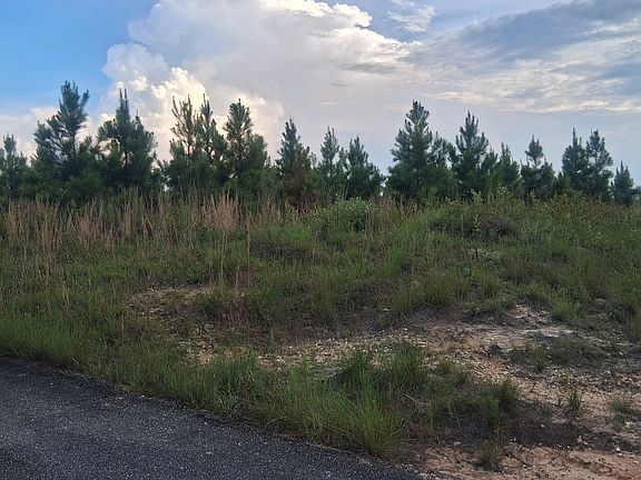 3rd image of 0 Abbeville Hwy