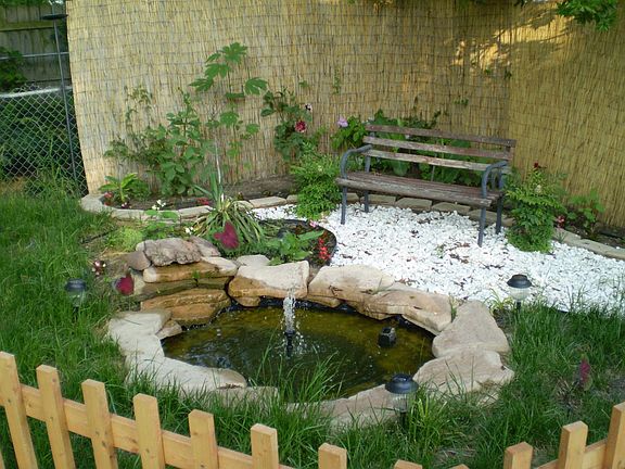 Backyard Pond