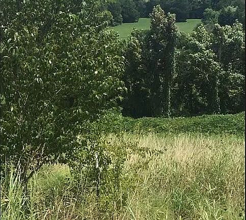 3rd image of 5155 Candlewood Ct Lot 35