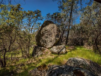4541 Little Buck Ct, Mariposa, CA, 95338