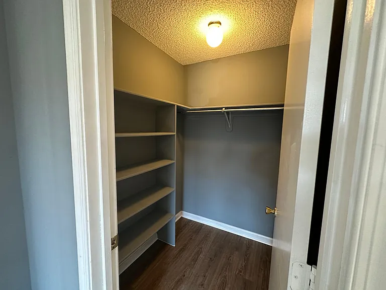 Walk In Closet with Built In Shelving