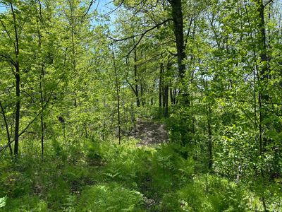 Xx 233rd Pl, Jacobson, MN, 55752