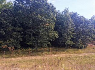 S Walhalla Rd, Branch, MI 49402