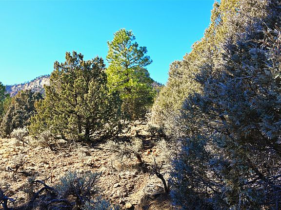 2nd image of 0 Venado Ln #1-lot 79